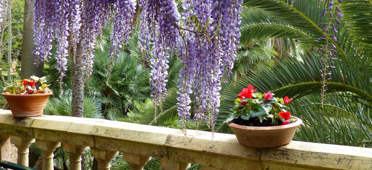 MALLORCA / Jardines de Alfabia