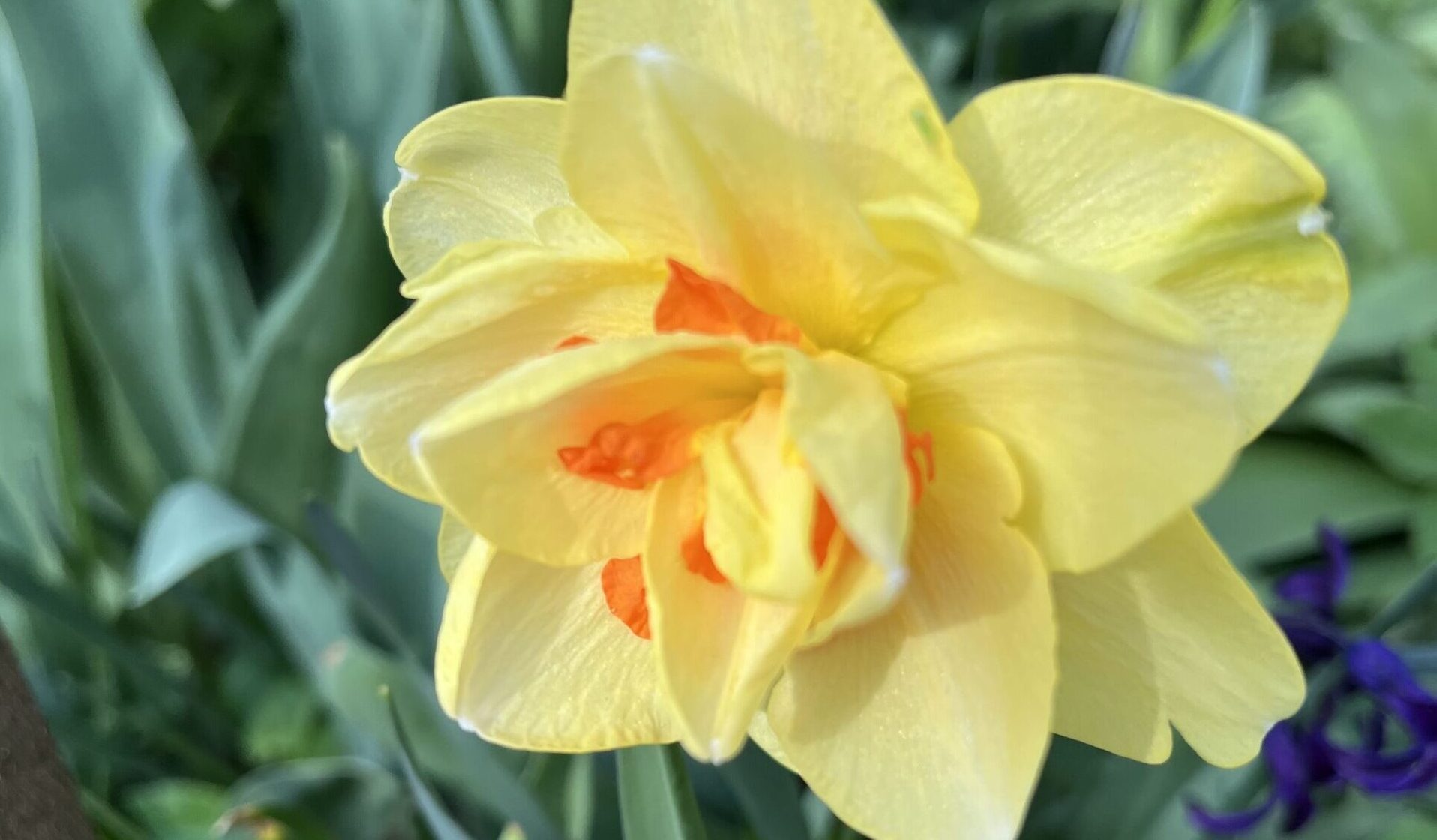 April