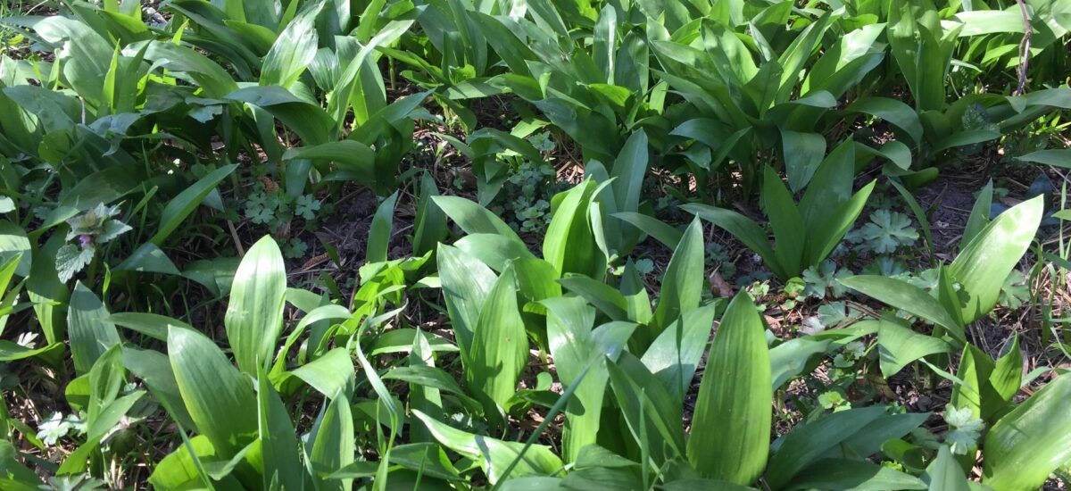 Ein paar Tage später