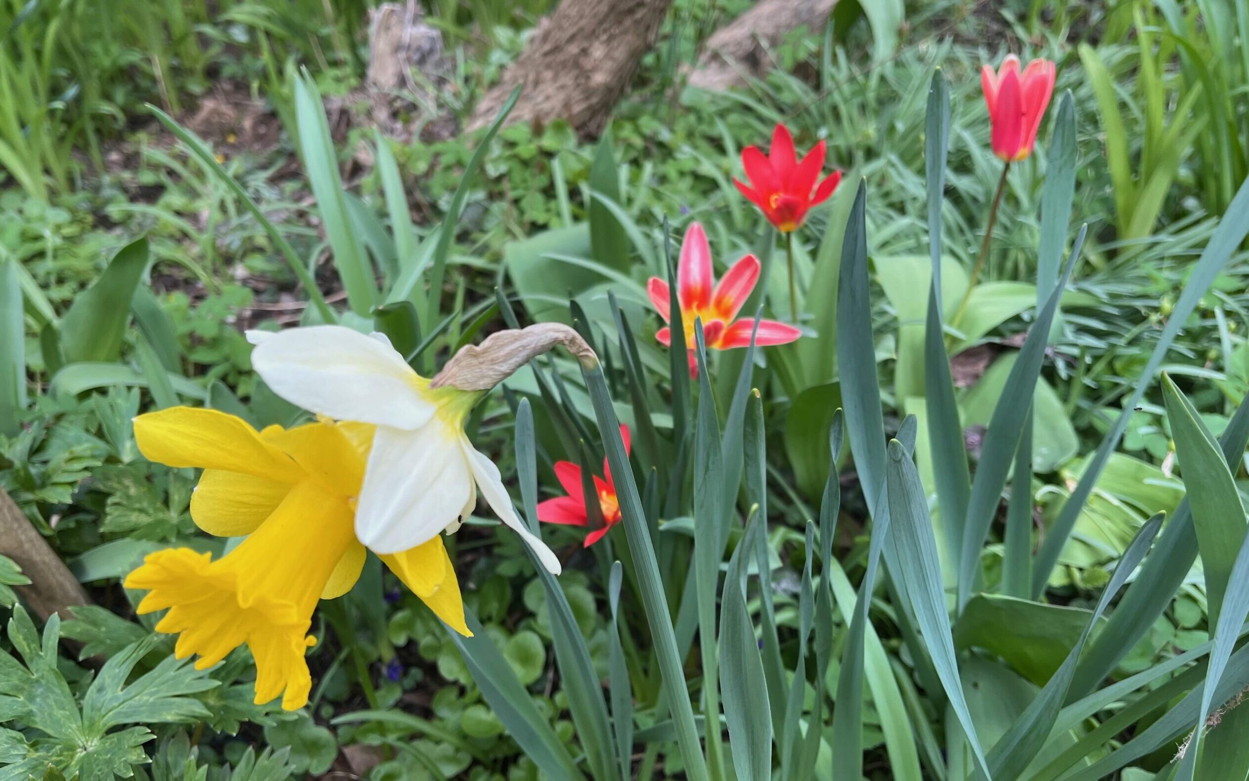 April