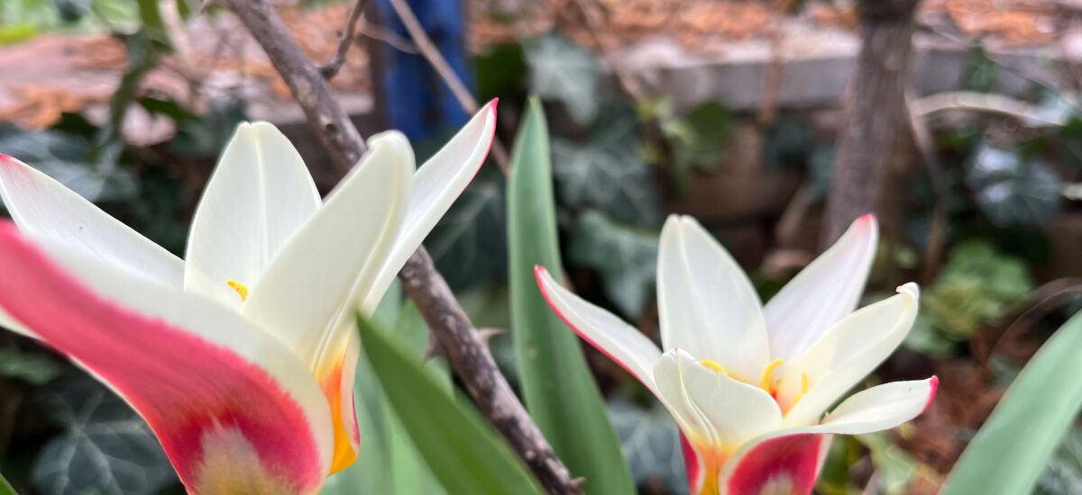 April 1