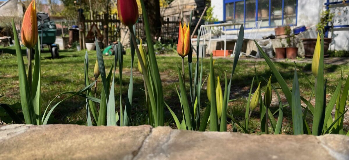 April 11