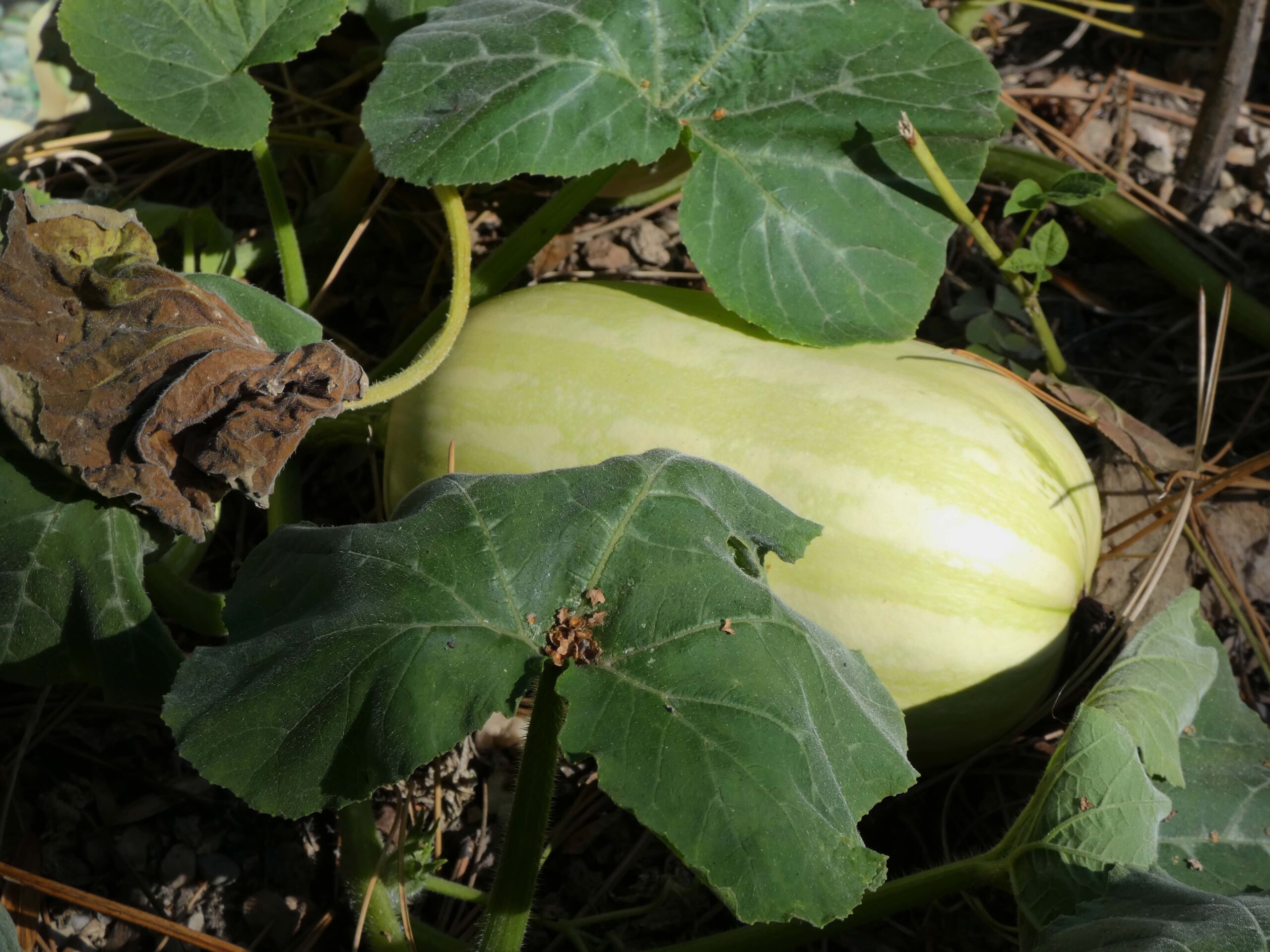 September